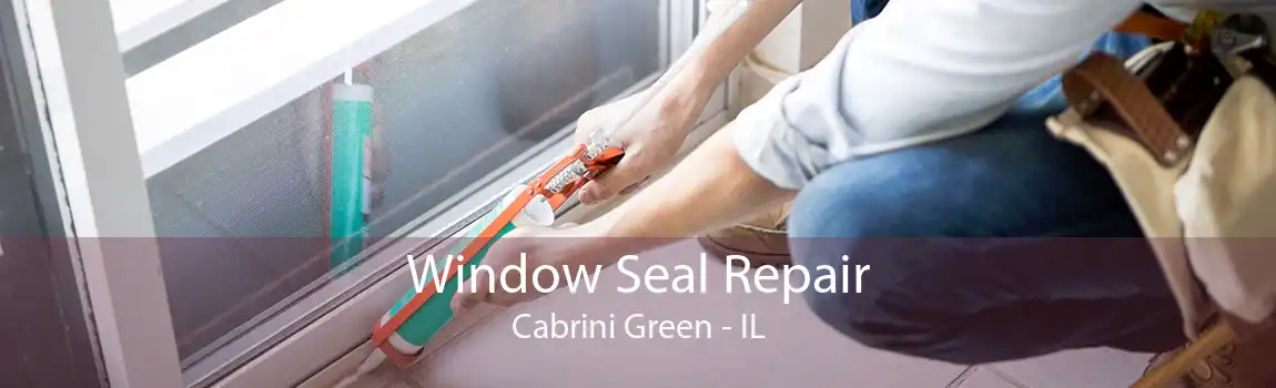 Window Seal Repair Cabrini Green - IL