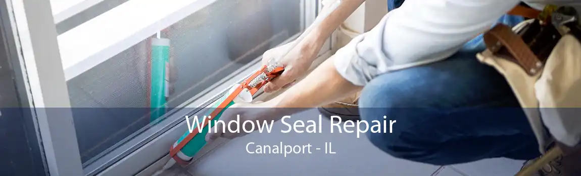 Window Seal Repair Canalport - IL