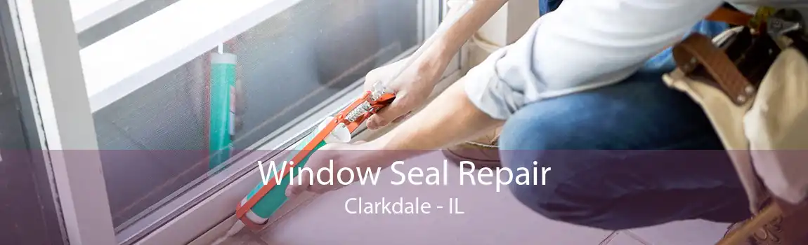 Window Seal Repair Clarkdale - IL