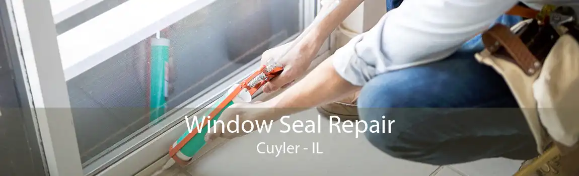 Window Seal Repair Cuyler - IL