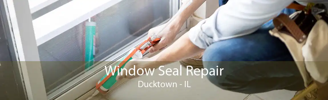 Window Seal Repair Ducktown - IL