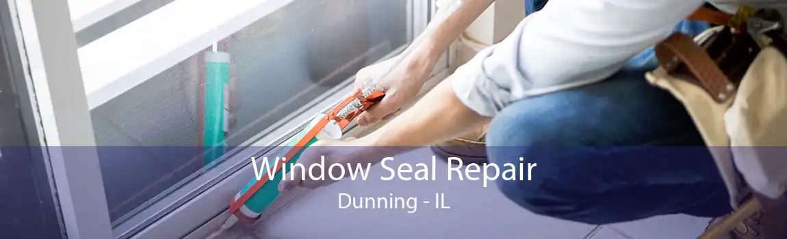 Window Seal Repair Dunning - IL