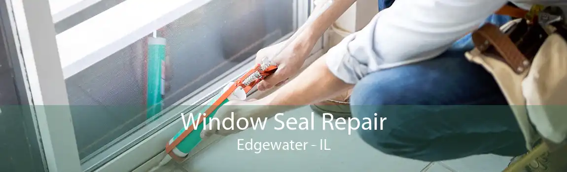 Window Seal Repair Edgewater - IL