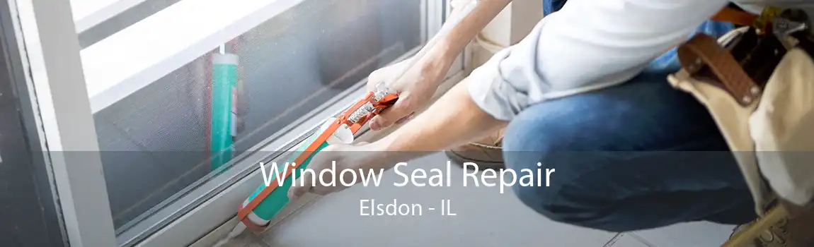 Window Seal Repair Elsdon - IL