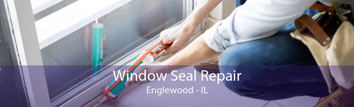 Window Seal Repair Englewood - IL