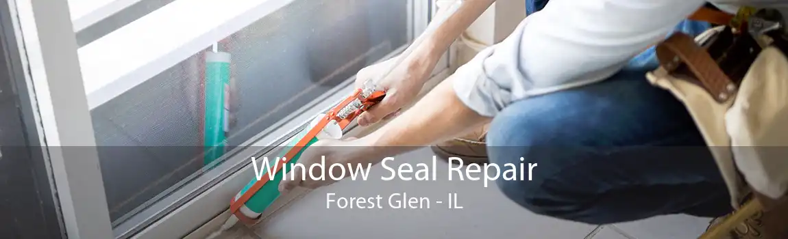 Window Seal Repair Forest Glen - IL