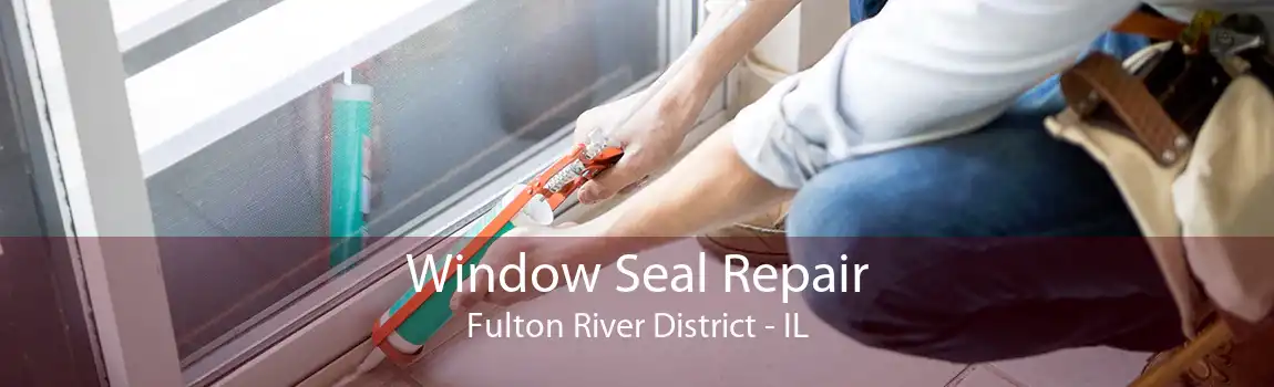 Window Seal Repair Fulton River District - IL