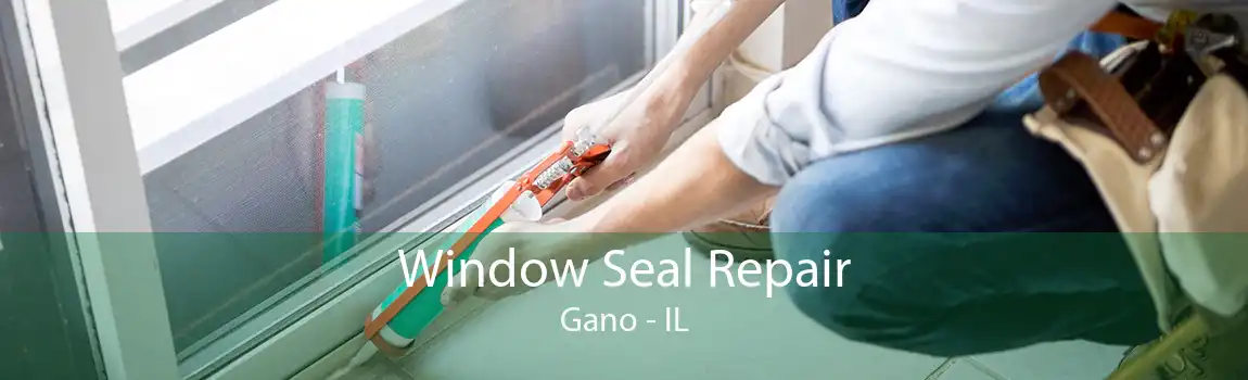 Window Seal Repair Gano - IL