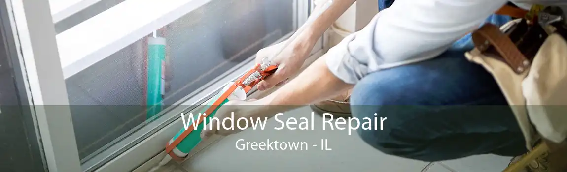 Window Seal Repair Greektown - IL