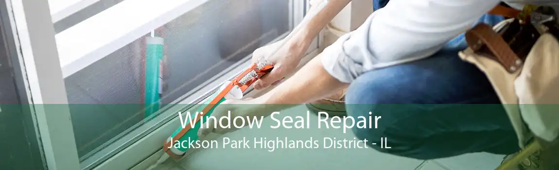 Window Seal Repair Jackson Park Highlands District - IL