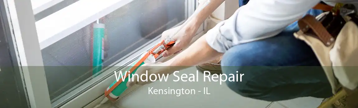 Window Seal Repair Kensington - IL