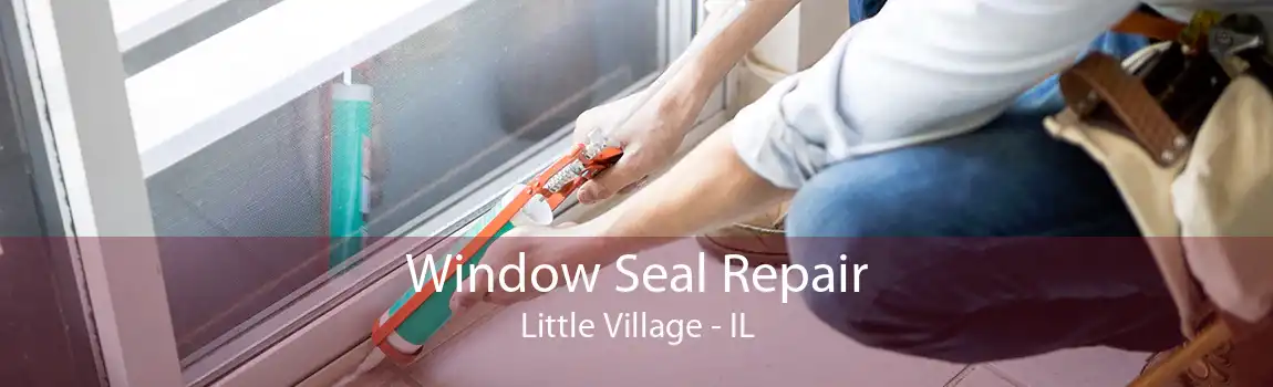 Window Seal Repair Little Village - IL