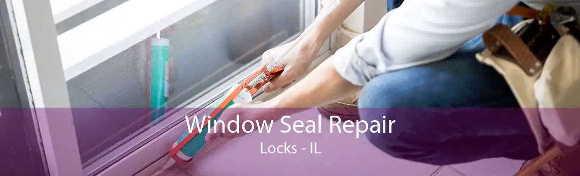 Window Seal Repair Locks - IL