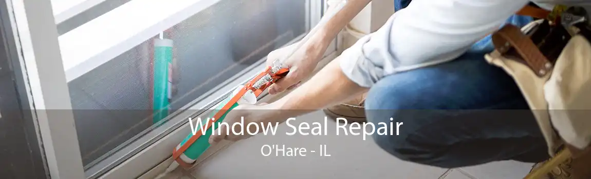 Window Seal Repair O'Hare - IL