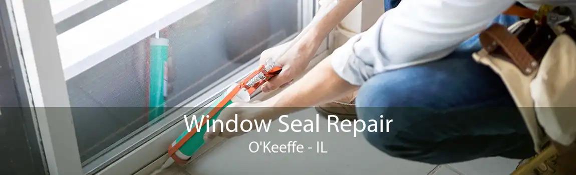 Window Seal Repair O'Keeffe - IL