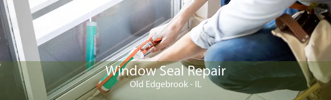 Window Seal Repair Old Edgebrook - IL