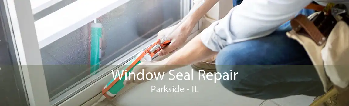 Window Seal Repair Parkside - IL