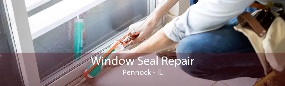 Window Seal Repair Pennock - IL