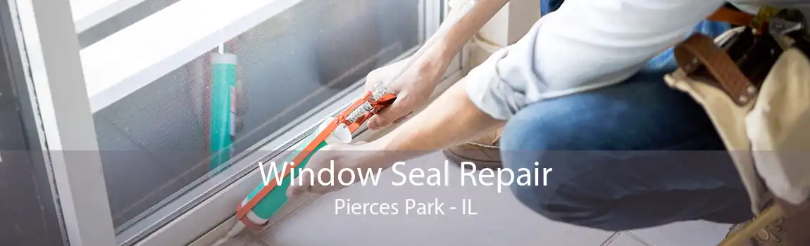 Window Seal Repair Pierces Park - IL