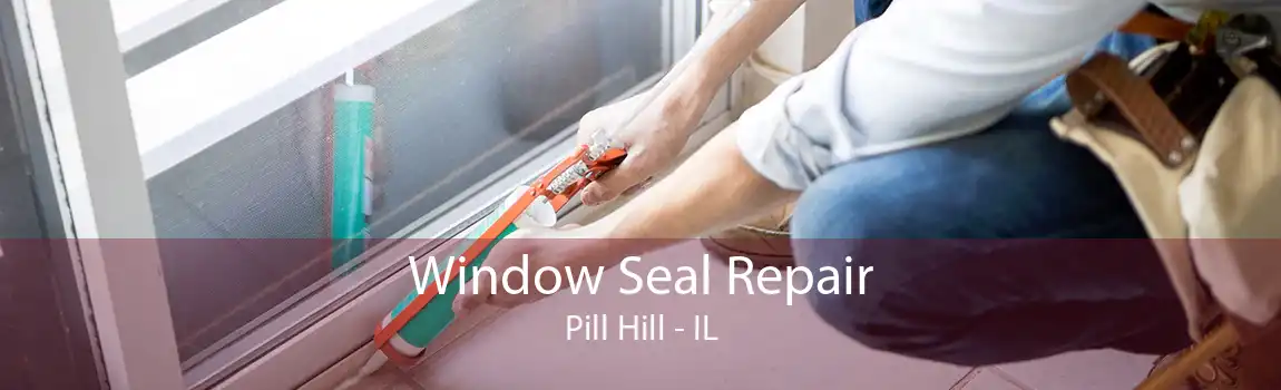 Window Seal Repair Pill Hill - IL