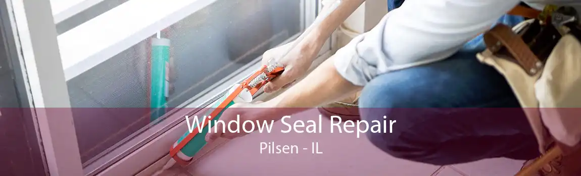 Window Seal Repair Pilsen - IL