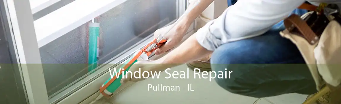 Window Seal Repair Pullman - IL