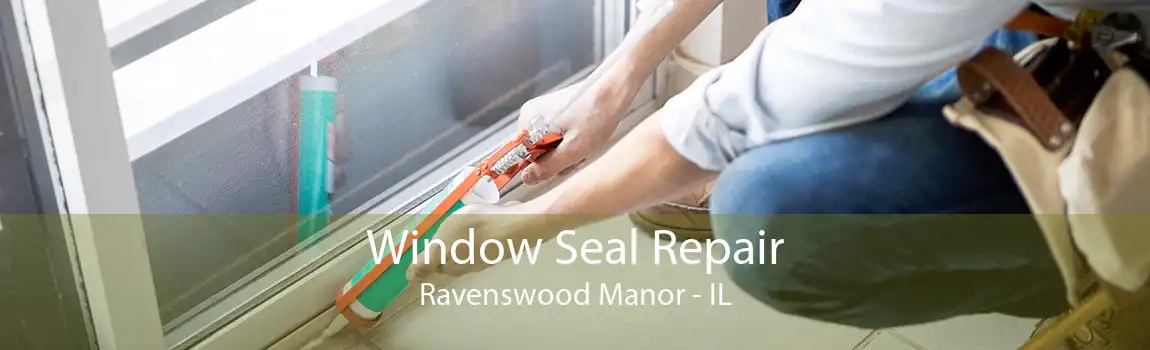 Window Seal Repair Ravenswood Manor - IL