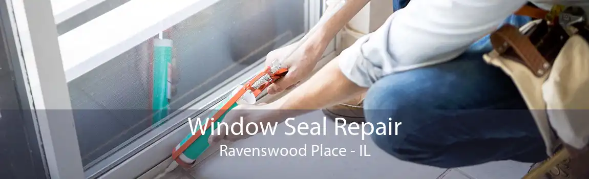 Window Seal Repair Ravenswood Place - IL