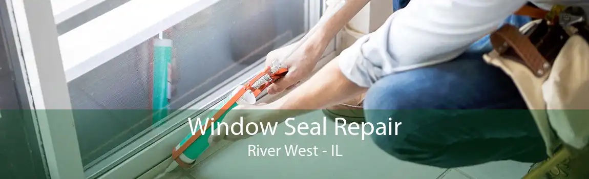 Window Seal Repair River West - IL