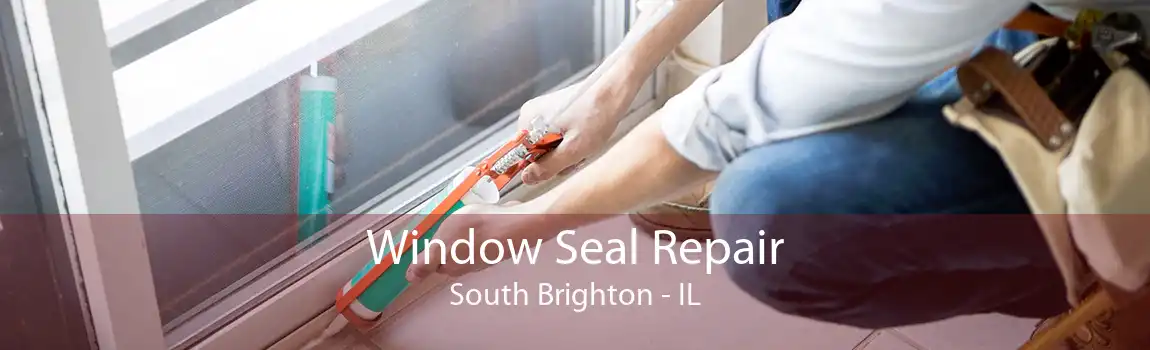 Window Seal Repair South Brighton - IL