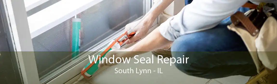 Window Seal Repair South Lynn - IL