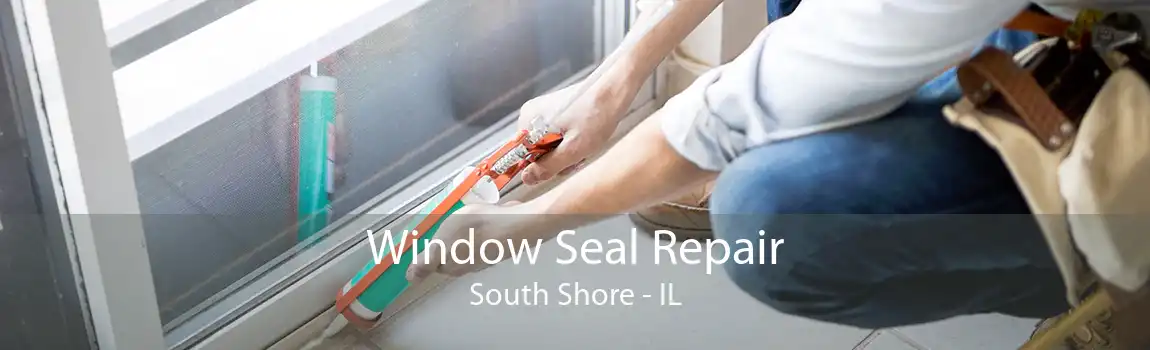 Window Seal Repair South Shore - IL