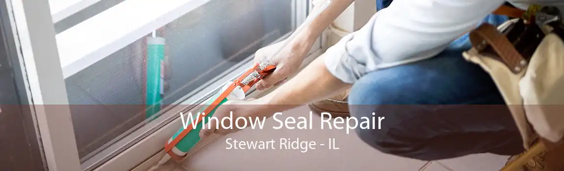 Window Seal Repair Stewart Ridge - IL