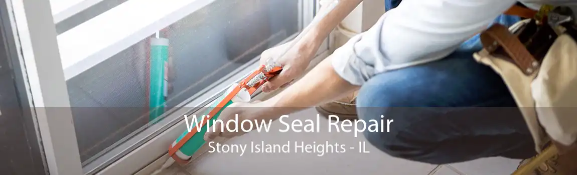 Window Seal Repair Stony Island Heights - IL