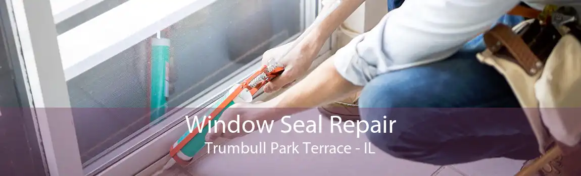 Window Seal Repair Trumbull Park Terrace - IL