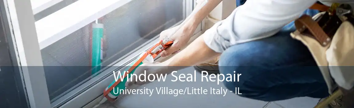 Window Seal Repair University Village/Little Italy - IL