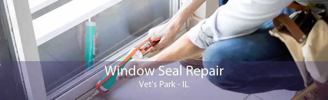 Window Seal Repair Vet's Park - IL