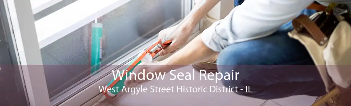 Window Seal Repair West Argyle Street Historic District - IL