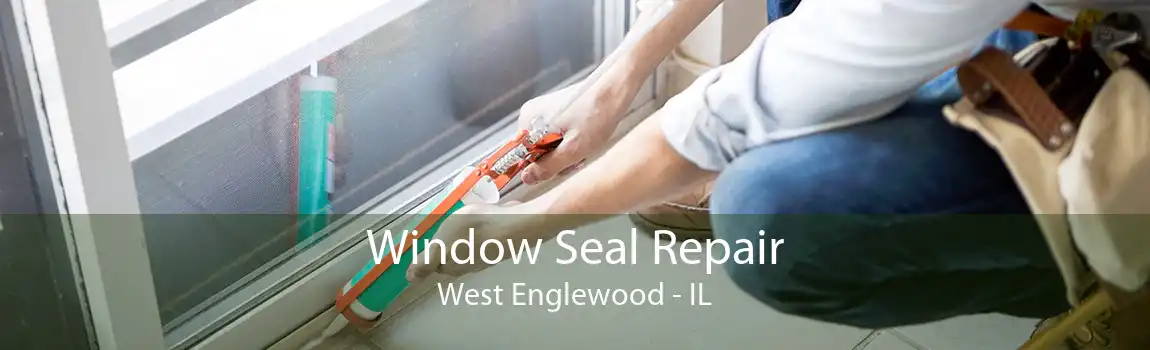 Window Seal Repair West Englewood - IL