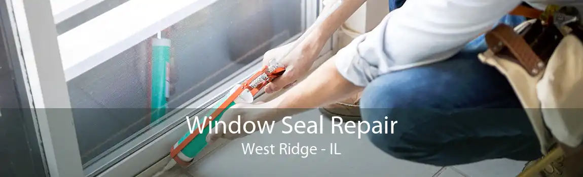 Window Seal Repair West Ridge - IL