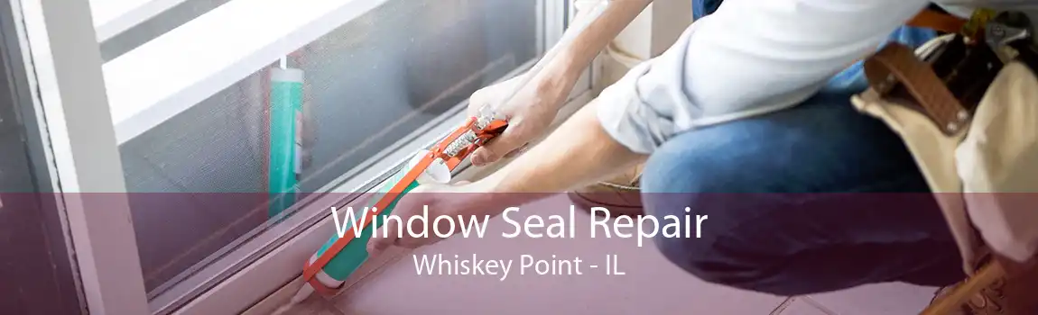 Window Seal Repair Whiskey Point - IL