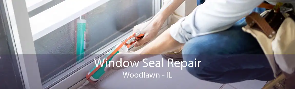 Window Seal Repair Woodlawn - IL