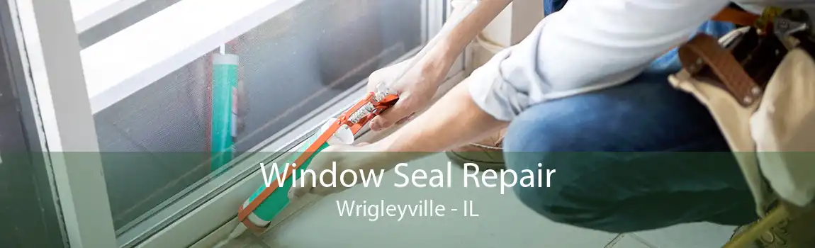 Window Seal Repair Wrigleyville - IL